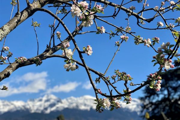 Newsletter d'Avril 2021